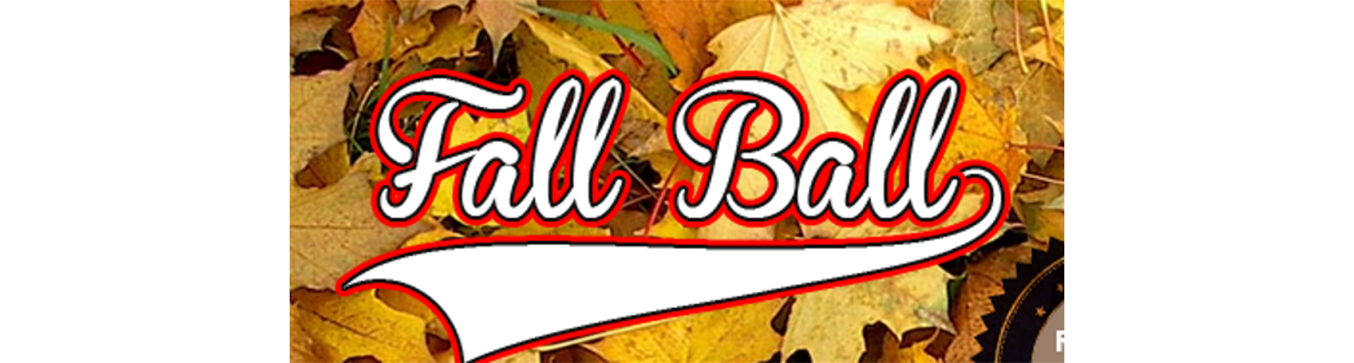 Fall Ball 2024 Cancelled 